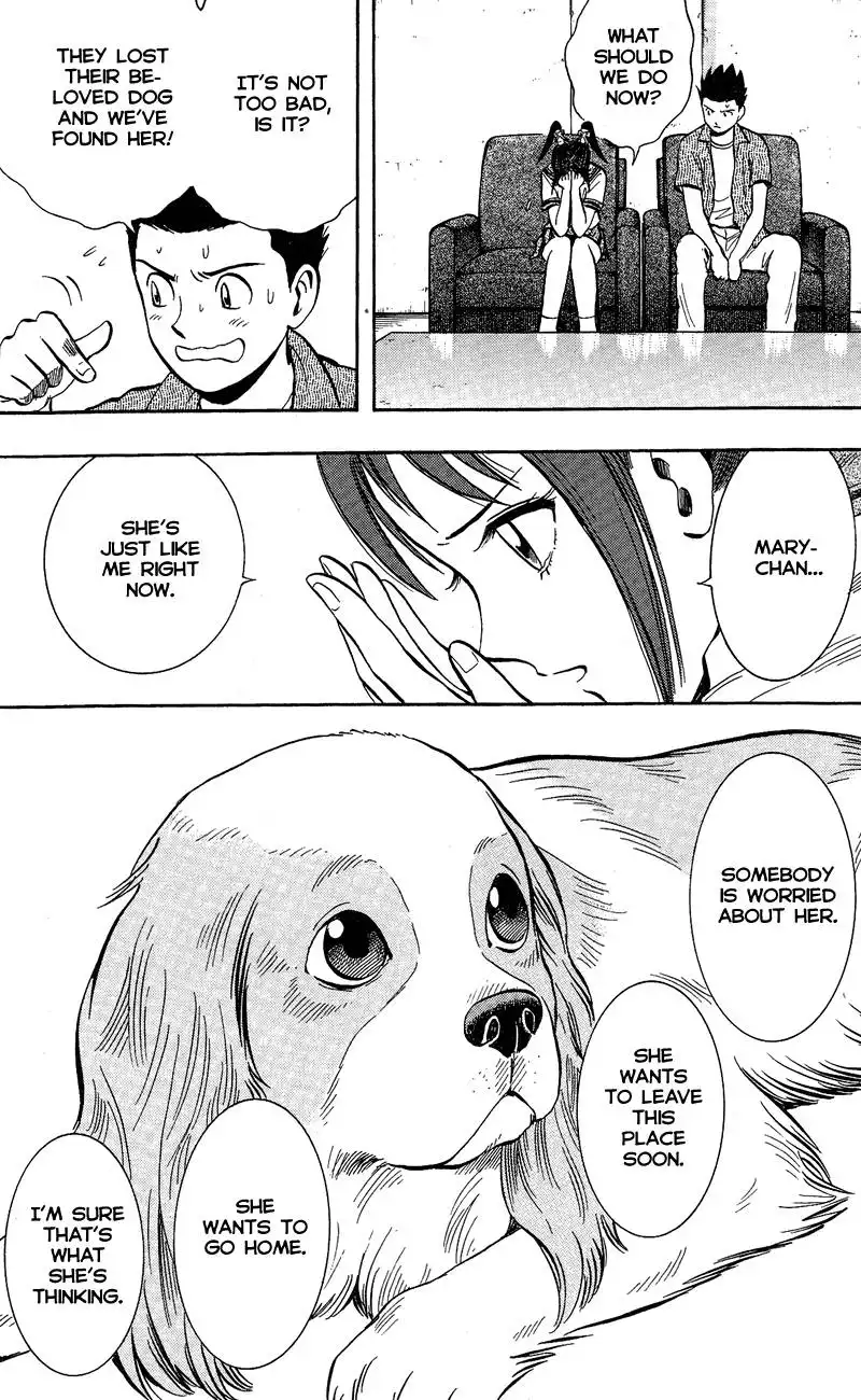 Animal Sense Chapter 5 19